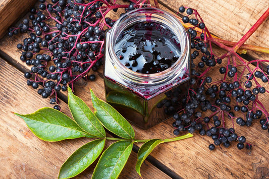 all about elderberry blog