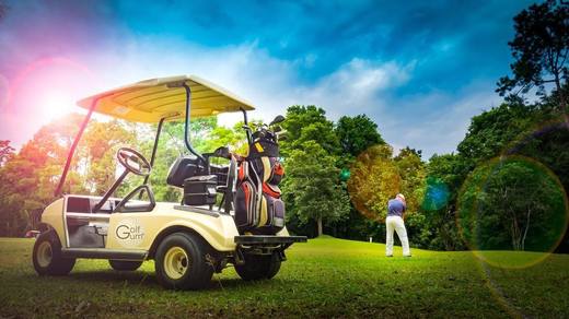 chewing gum and golf pros chew their way to big wins