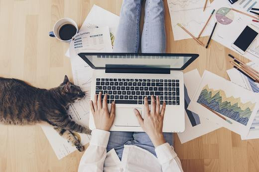 how to work remotely, photo of girl working on her laptop with a cat laying next to her